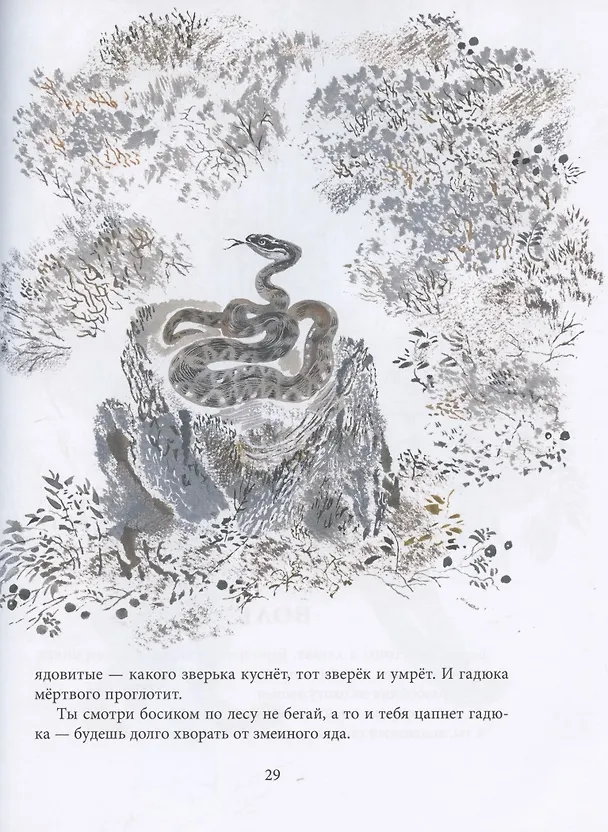 Книга Моя первая зоология (Евгений Чарушин) — 5