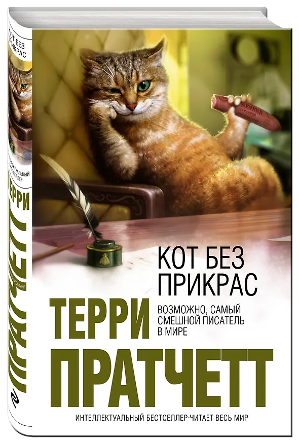 Книга Кот без прикрас (Терри Пратчетт) — 4