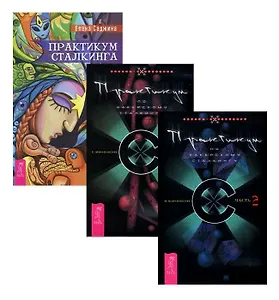 Практикум сталкинга + Практикум по хакерскому сталкингу в 2-х томах (комплект из 3-х книг)