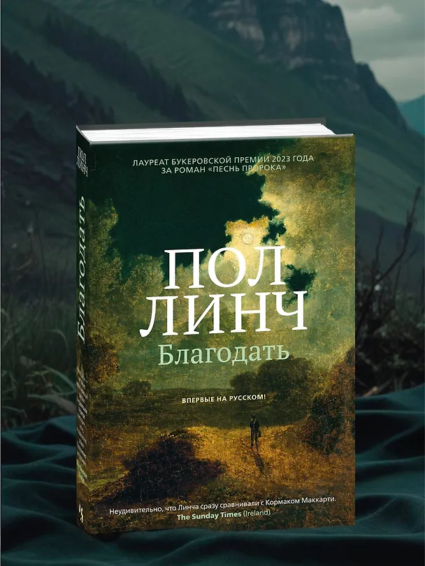 Книга Благодать (Пол Линч) — 12