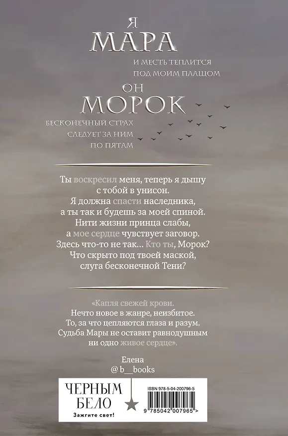 Книга Мара и Морок (формат клатчбук) (Лия Арден) — 2