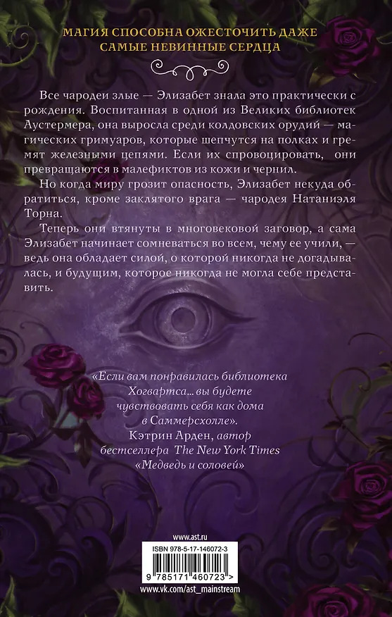 Книга Магия шипов (Маргарет Роджерсон) — 2
