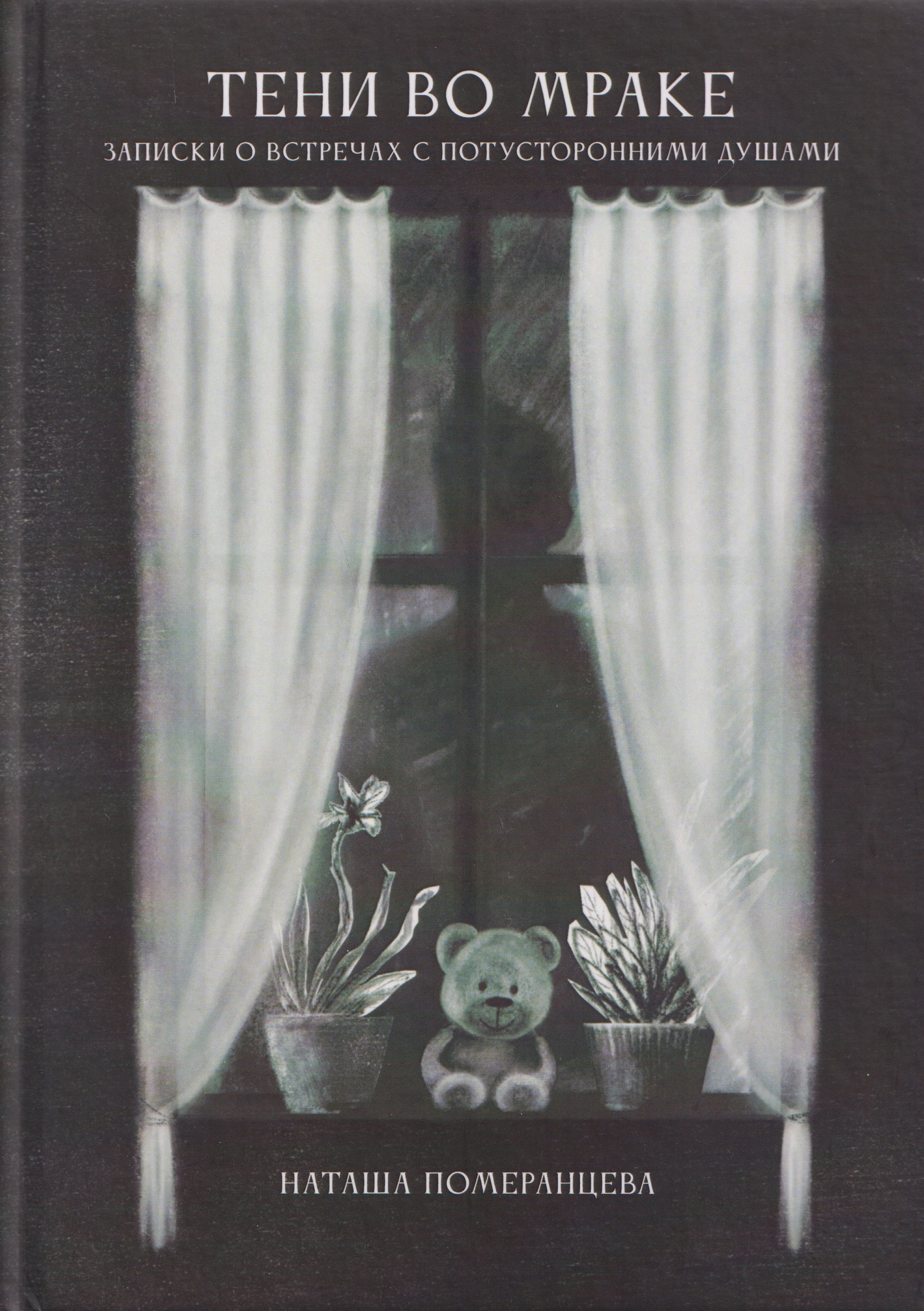

Тени во мраке. Записки о встречах с потусторонними душами