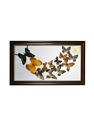 Панно Бабочки (30х49) (101009) 2398644