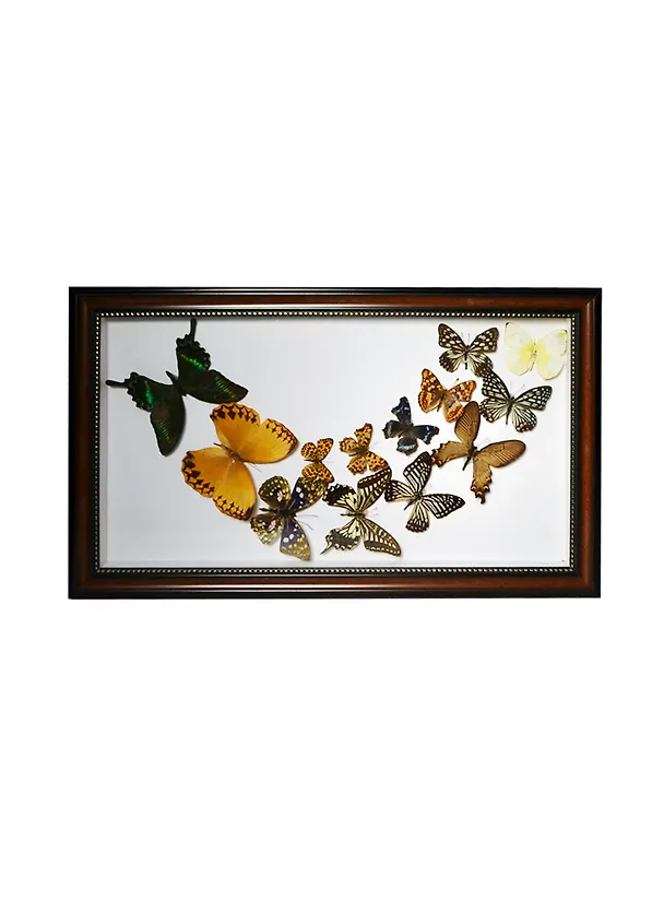 Панно Бабочки (30х49) (101009) 2398644 — 1