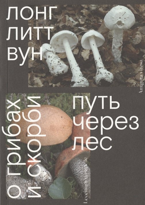 Книга Путь через лес. О грибах и скорби (Лонг Вун) — 1