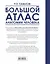 Большой атлас анатомии человека — 2697895 — 2