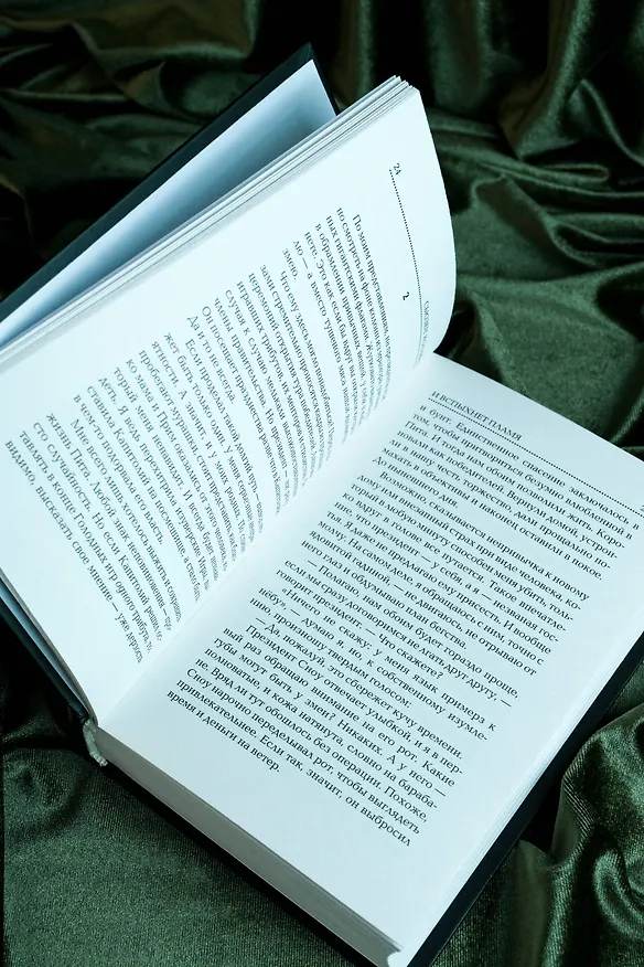 Книга И вспыхнет пламя (Сьюзен Коллинз) — 11