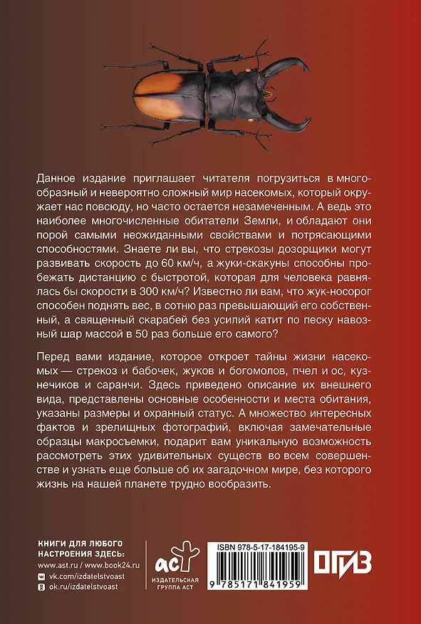Книга Насекомые. Иллюстрированный гид (Анна Спектор) — 2