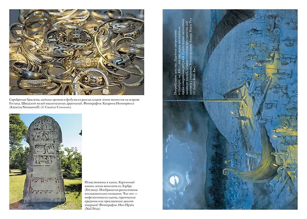 Книга История викингов. Дети Ясеня и Вяза (Нил Прайс) — 7