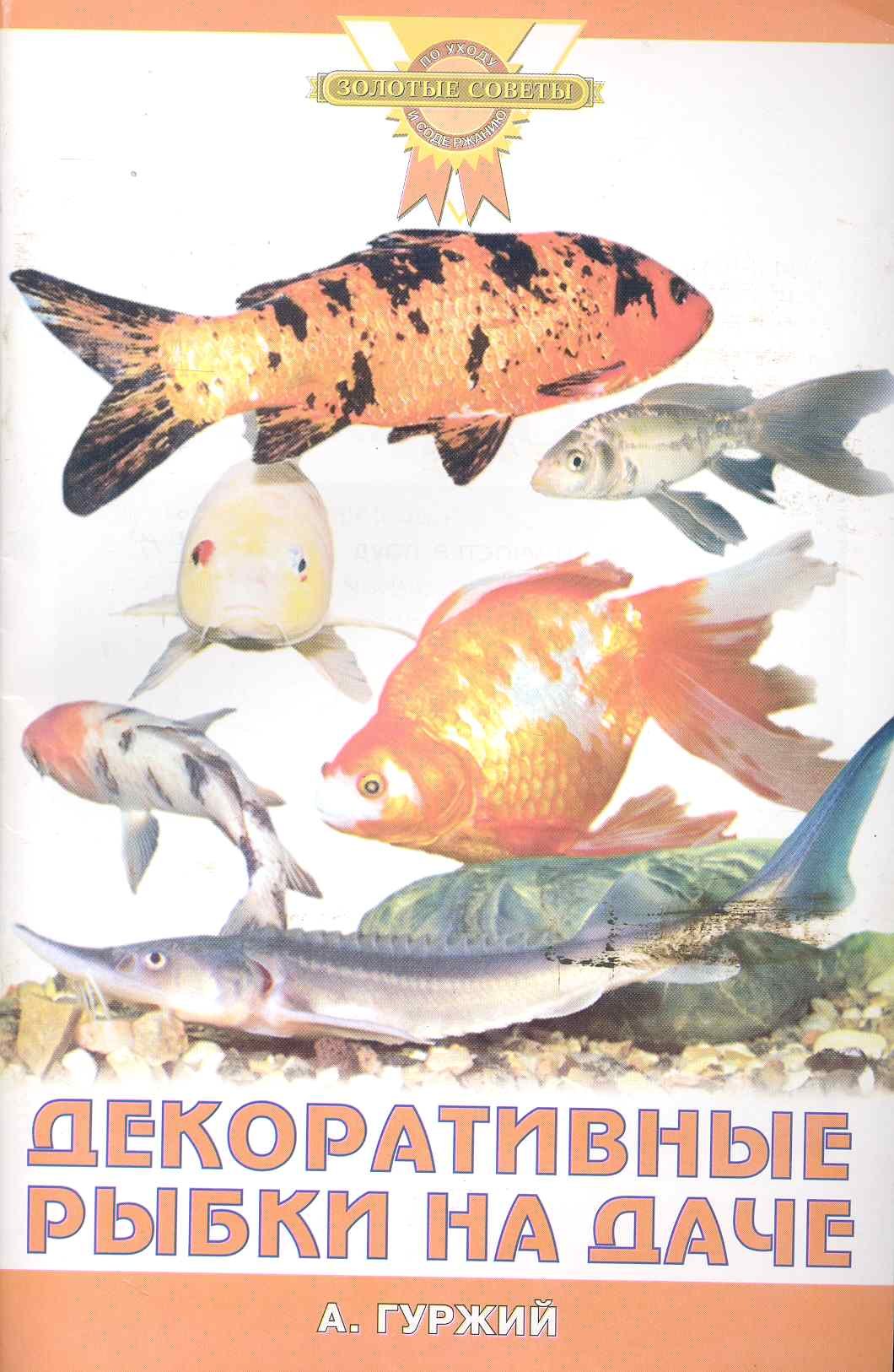 

Декоративные рыбки на даче