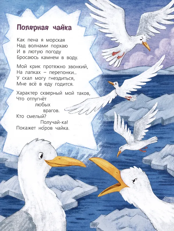 Книга Посмотри, где мы живем! (Ксения Валаханович) — 6