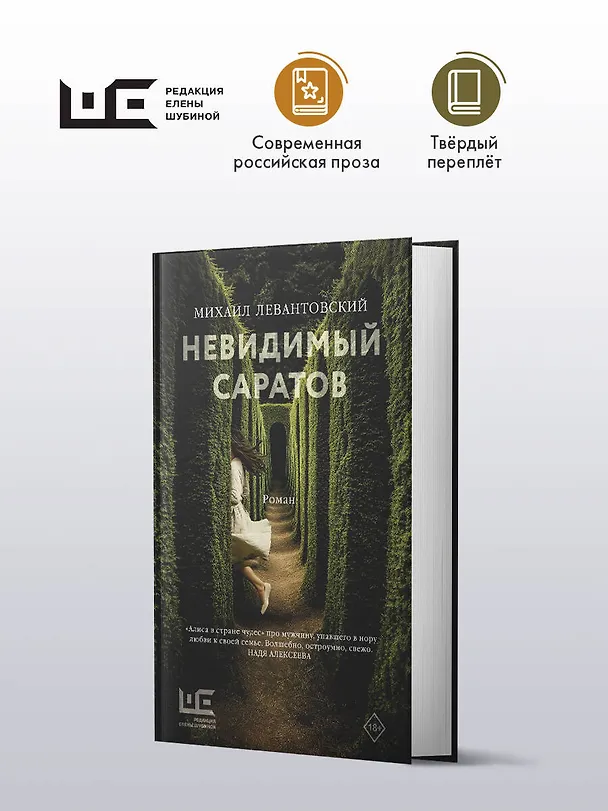 Книга Невидимый Саратов (Михаил Левантовский) — 4