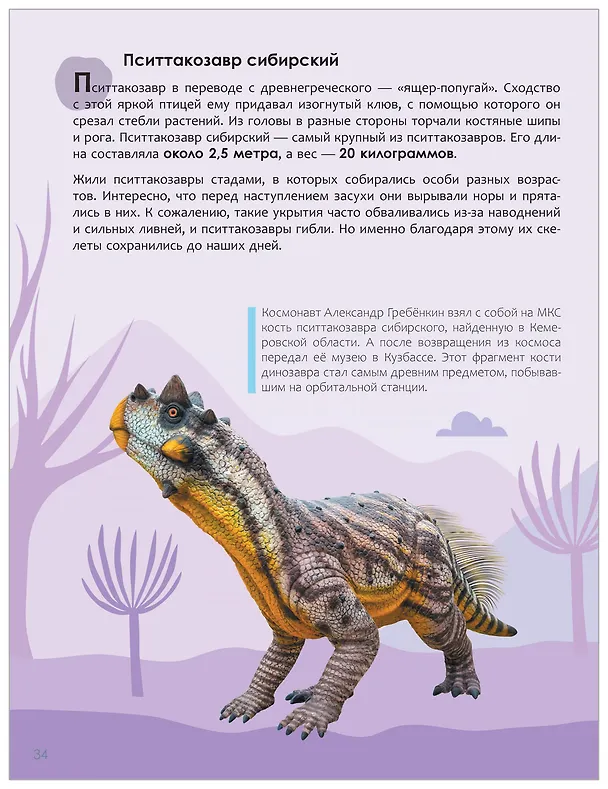 Книга Динозавры. Детская энциклопедия (Ульяна Киршина) — 13
