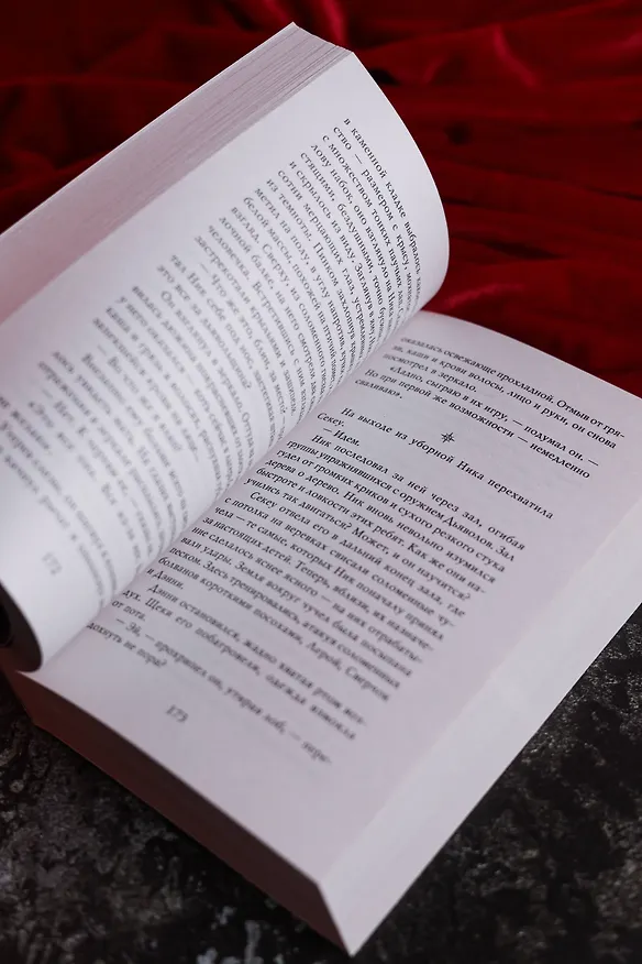 Книга Похититель детей (Джеральд Бром) — 13