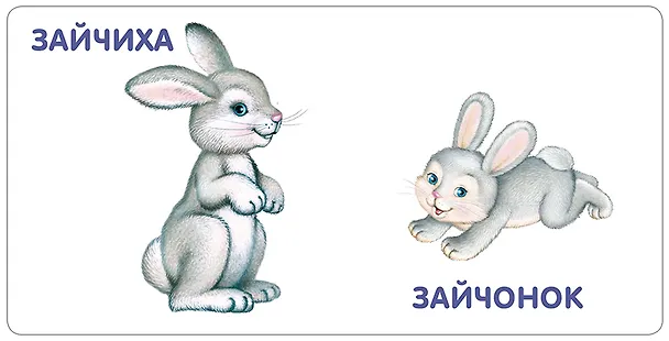 Книга Книжки-картонки. Животные и детеныши () — 4