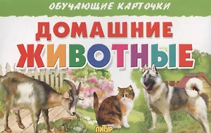 Обуч.карт.Домашние животные