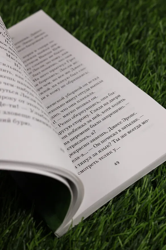 Книга Мост в Терабитию (Кэтрин Патерсон) — 17