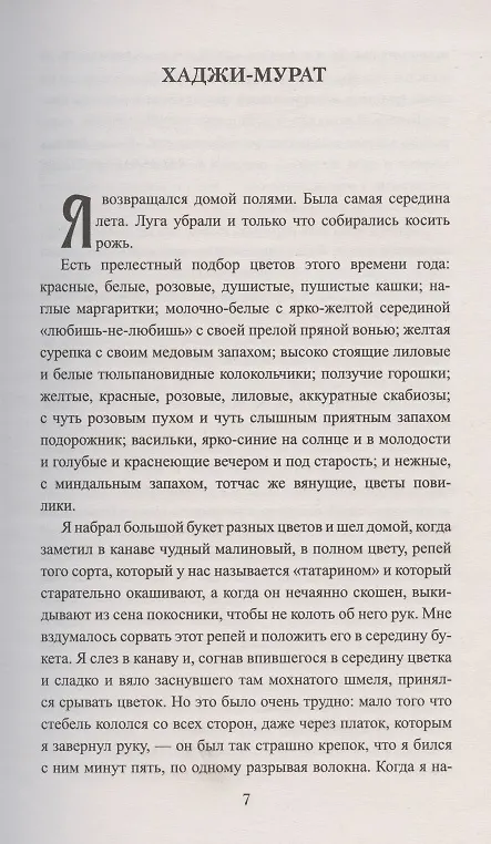 Книга Хаджи-Мурат (Лев Толстой) — 3