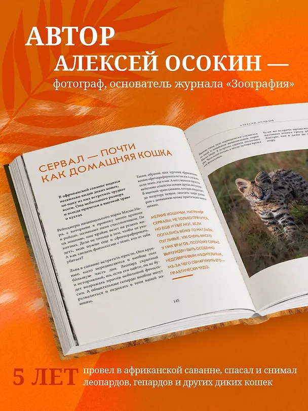 Книга Мир диких животных без мифов. Невероятные фотоистории о жизни хищников саванны (Алексей Осокин) — 6