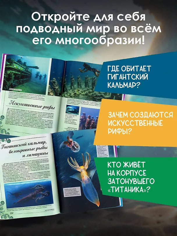 Книга Большая книга о подводном мире. 1001 фотография (Вячеслав Ликсо) — 6