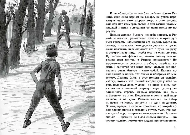 Книга Рыжий (Федор Боровский) — 3