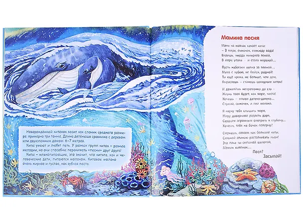 Книга Ой! Какой большой! (Ксения Валаханович) — 4