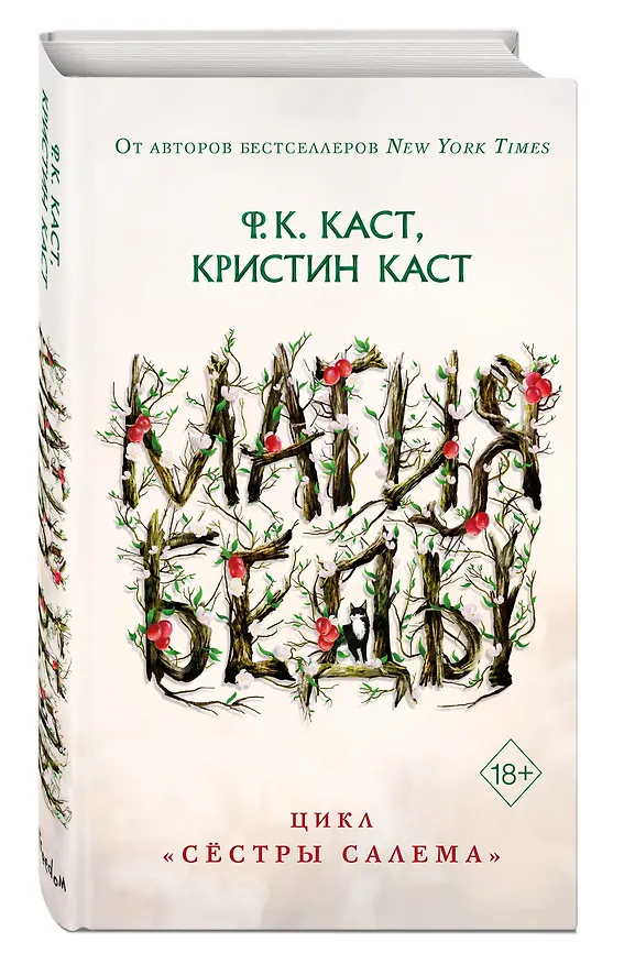 Книга Магия беды (Филис Каст) — 6