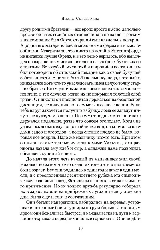 Книга Беллмен и Блэк, или Незнакомец в черном (Диана Сеттерфилд) — 12