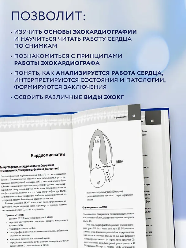 Книга Эхокардиография для начинающих. Суть гемодинамических нарушений, позиции для анализа, определение тяжести порока. 2-е издание, исправленное и дополненное (Петр Чомахидзе) — 6