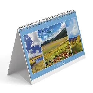 Календарь 2026г 200*130 "Родные просторы" настольный, домик