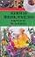 Золотая энциклопедия народной медицины — 2151816 — 1