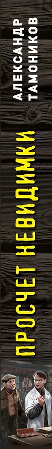 Книга Просчет невидимки (Александр Тамоников) — 3