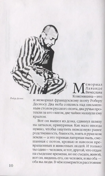 Книга Гербарий моей дочери 3 () — 2