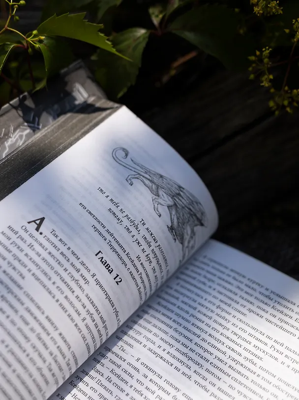 Книга Ониксовый шторм (черный обрез) (Ребекка Яррос) — 16