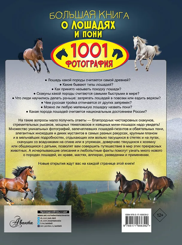 Книга Большая книга о лошадях и пони. 1001 фотография (Анна Спектор) — 2