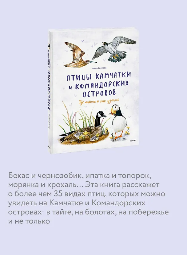 Книга Птицы Камчатки и Командорских островов. Где найти и как узнать (Анна Евсеева) — 7