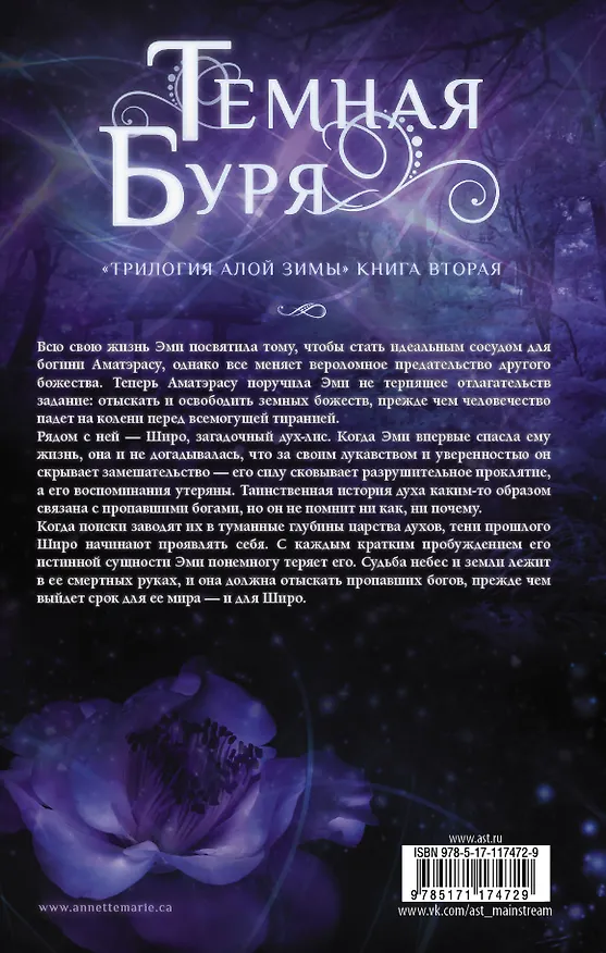 Книга Темная буря (Аннетт Мари) — 2