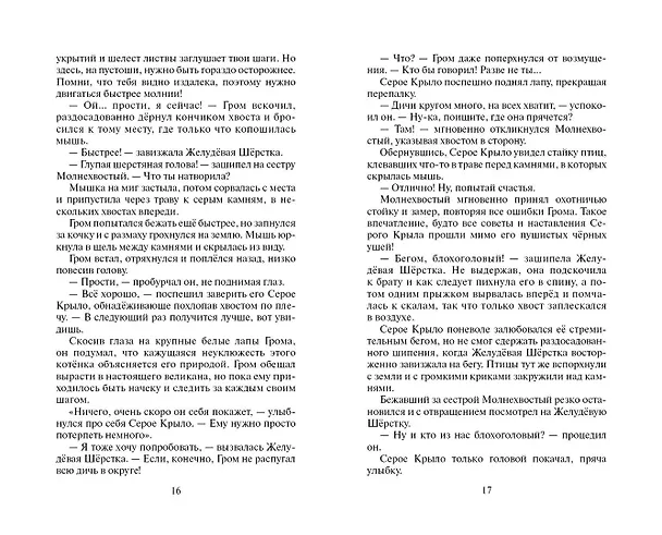 Книга Юность Грома (Эрин Хантер) — 8