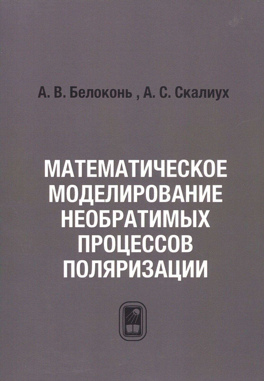 

Математическое моделирование необратимых процессов поляризации