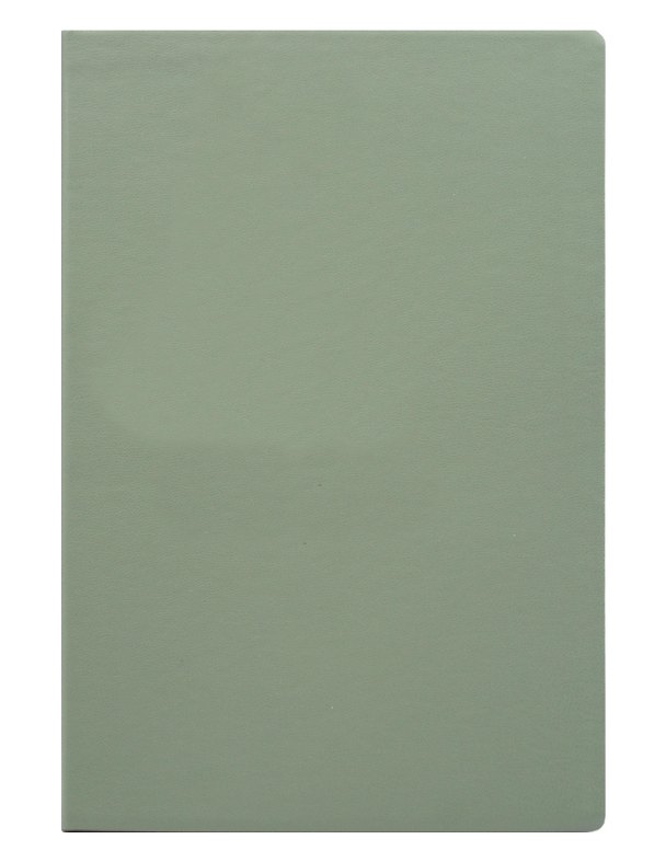 Книга для записей А5 80л кл. "Inspiration series" серо-зелен., PU, Yoi 3162707 — 1