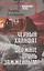 Черный халифат. Держите огонь зажженным  (16+) — 3090074 — 1