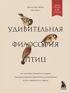 Удивительная философия птиц. Как ласточки относятся к смерти, горлицы сохраняют романтику в отношениях, а утки спасаются от стресса