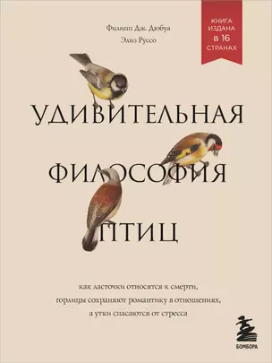 Удивительная философия птиц. Как ласточки относятся к смерти, горлицы сохраняют романтику в отношениях, а утки спасаются от стресса — 2764492 — 1