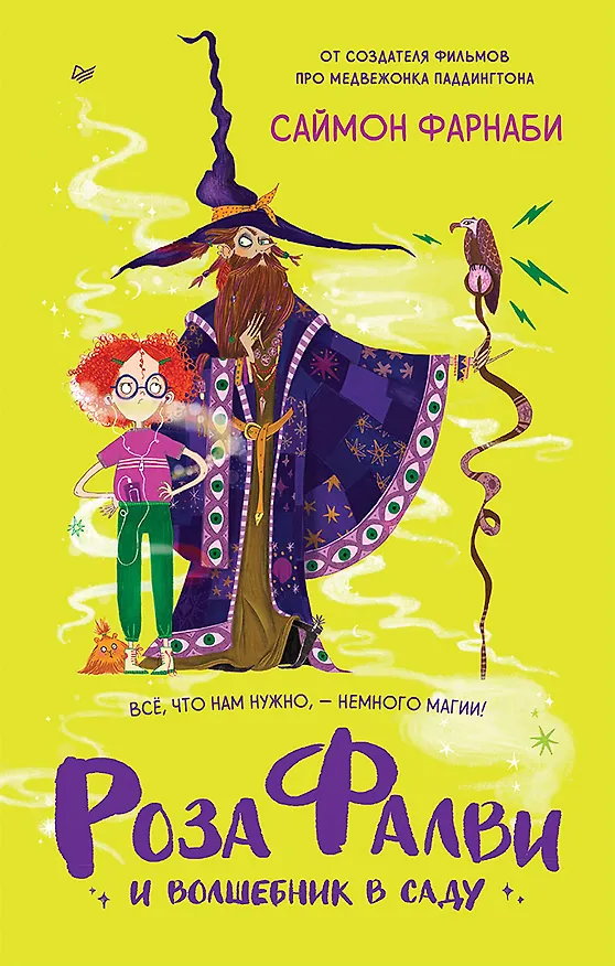 Книга Роза Фалви и волшебник в саду (Саймон Фарнаби) — 1