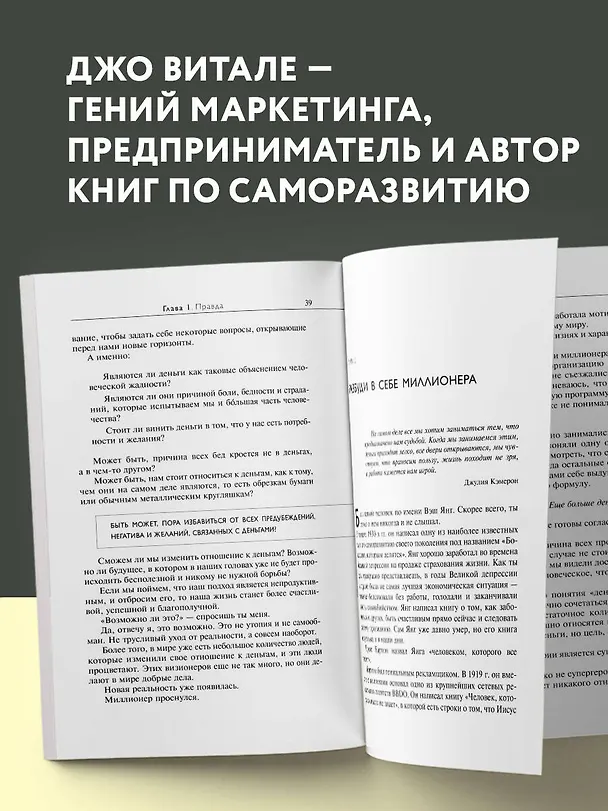 Книга Разбуди в себе миллионера. Манифест богатства и процветания (Джо Витале) — 6