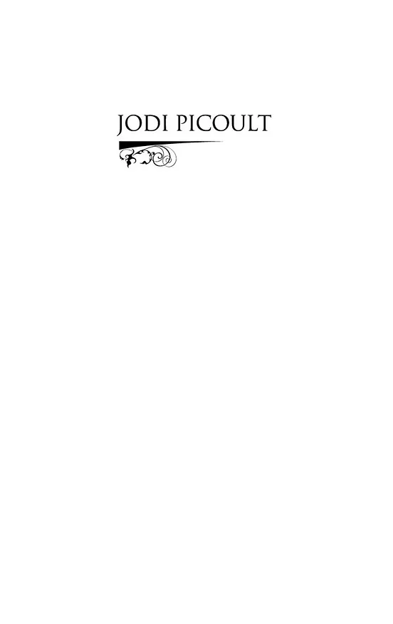 Книга Второй взгляд (Джоди Пиколт) — 2