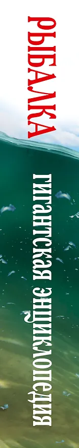 Книга Рыбалка. Большая энциклопедия (ISBN 978-5-271-37591-0 в суперобложке "Рыбалка. Гигантская энциклопедия") (Василий Рыбицкий) — 3