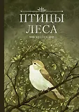 Артбуки с иллюстраторами YA