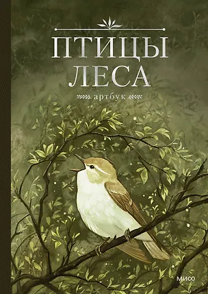 Книга Птицы леса. Артбук (Geo Saiko)